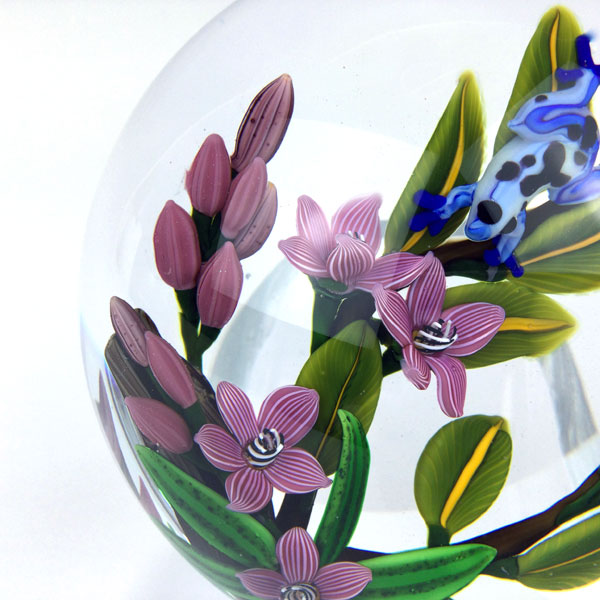 A Prince Unkissed – Blue Poison Dart Frog